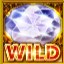 Wild Amazons Diamonds