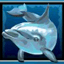 Wild Dolphin's Pearl