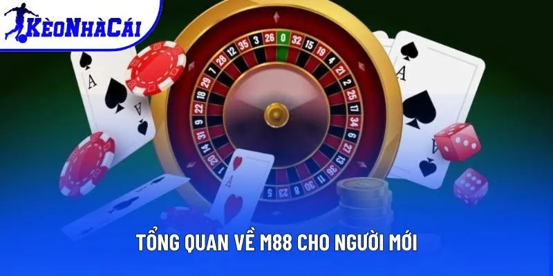 Tổng quan về M88 cho người mới Tổng quan về M88 cho người mới